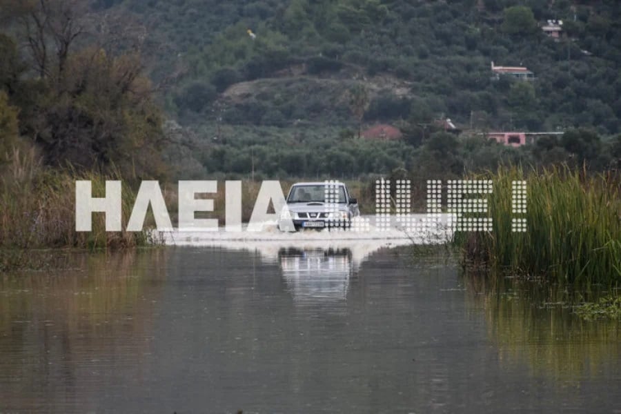 kaiafas plimm